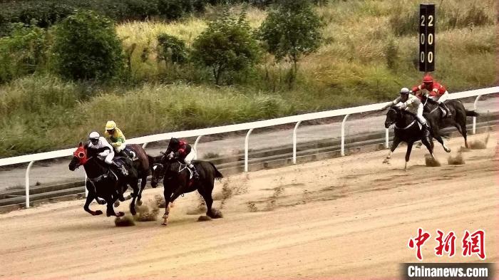 2024年全国速度赛马锦标赛在武汉东方马城国际赛