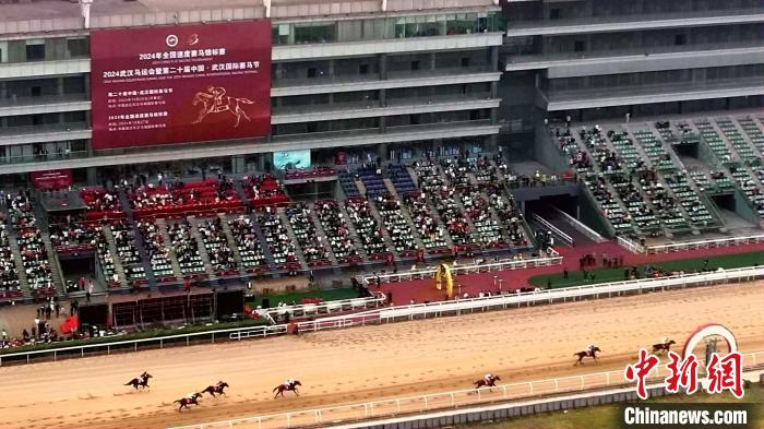 2024年全国速度赛马锦标赛在武汉东方马城国际赛